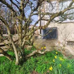 Cache clim extérieur : solutions esthétiques et efficaces | AFM Énergie