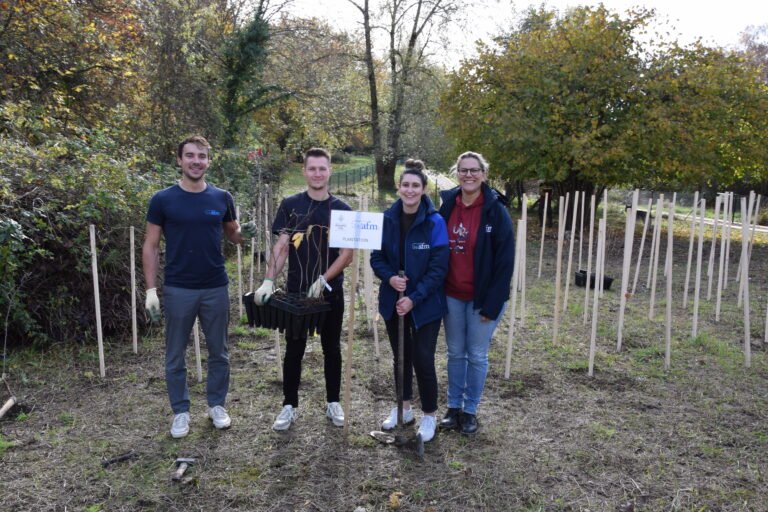 Plantation d'arbre réalisé par AFM SA