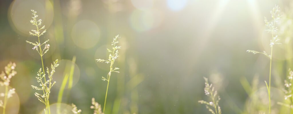 Dans le canton de Vaud, recycler l’énergie devient essentiel en 2026. Optimisation, réutilisation et réparation des installations énergétiques pour une consommation plus durable.